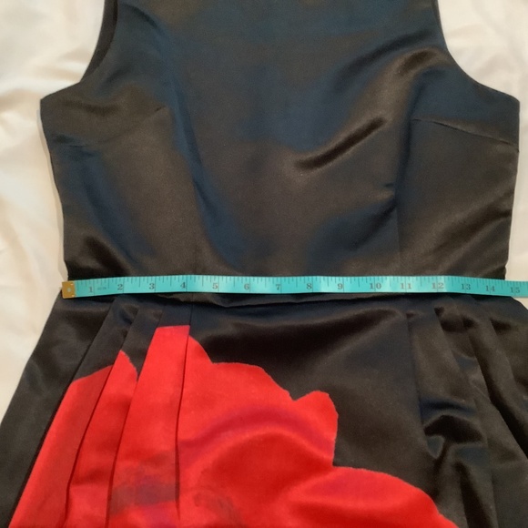 Cece by Cynthia Steffe Black Satin Red Rose Fit and Flare Cocktail Dress, Size 6 - Picture 5 of 15